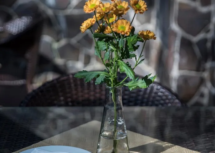 Ovecka Guest house Nydek